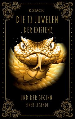 Cover Die 13 Juwelen der Existenz