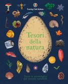 Tesori della natura. Tutte le meraviglie del mondo naturale