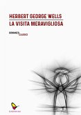 La visita meravigliosa La visita meravigliosa