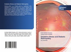 Cover Oxidative Stress and Diabetic Retinopathy