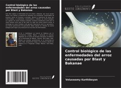 Cover Control biológico de las enfermedades del arroz causadas por Blast y Bakanae
