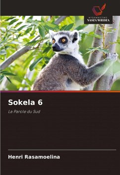 Cover Sokela 6