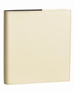 Cover Executif VZ Club Beige 2026