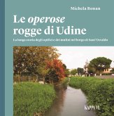 Le operose rogge di Udine. La lunga storia degli opifici e dei mulini nel borgo di Sant'Osvaldo Le operose rogge di Udine. La lunga storia degli opifici e dei mulini nel borgo di Sant'Osvaldo