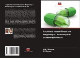 La plante merveilleuse du Meghalaya : Zanthoxylum acanthopodium DC La plante merveilleuse du Meghalaya : Zanthoxylum acanthopodium DC