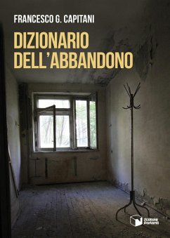 Cover Dizionario dell'abbandono