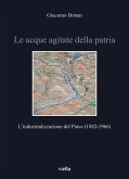 Le acque agitate della patria. L'industrializzazione del Piave (1882-1966) Le acque agitate della patria. L'industrializzazione del Piave (1882-1966)