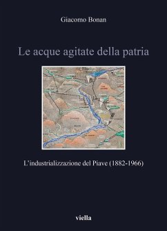 Cover Le acque agitate della patria. L'industrializzazione del Piave (1882-1966)