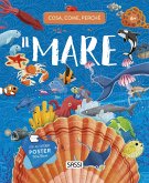 Il mare. Cosa, come, perché