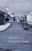 Winter in a Summer Town Winter in a Summer Town