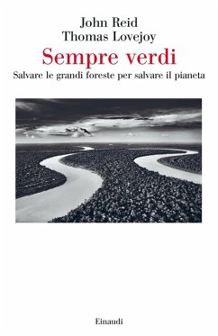 Cover Sempre verdi. Salvare le grandi foreste per salvare il pianeta