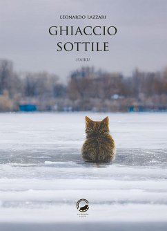 Cover Ghiaccio sottile. Ediz. italiana, inglese e giapponese