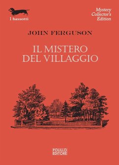 Cover Il mistero del villaggio