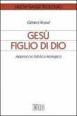 Gesù figlio di Dio. Approccio biblico-teologico