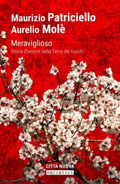 Cover Meraviglioso. Storia d'amore nella «terra dei fuochi»