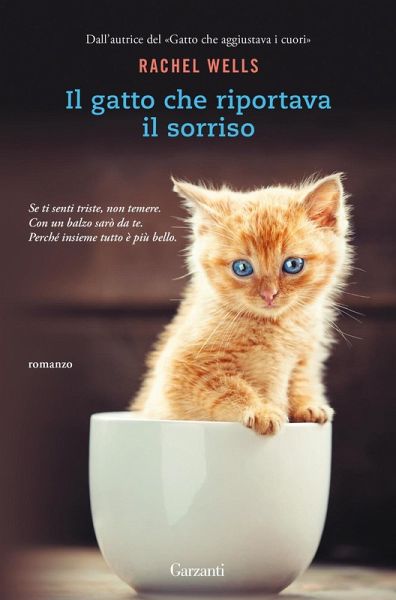 Il gatto che riportava il sorriso Il gatto che riportava il sorriso