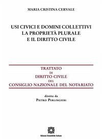 Usi civici e domini collettivi. La proprietà plurale e il diritto civile - Cervale, Maria Cristina