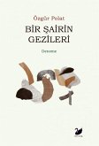 Bir Sairin Gezileri Bir Sairin Gezileri