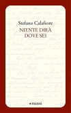 Niente dirà dove sei