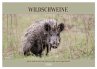 Wildschweine ganz nah an der Sau (Sus... - Bild 1