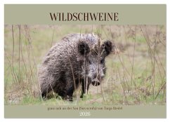 Cover Wildschweine ganz nah an der Sau (Sus scrofa) von Tanja Riedel (Wandkalender 2026 DIN A4 quer), CALVENDO Monatskalender