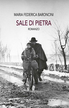 Cover Sale di pietra