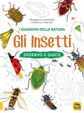 Gli insetti. Osservo e gioco