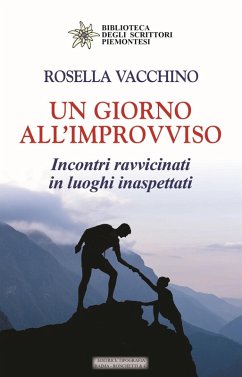 Un giorno all'improvviso. Incontri ravvicinati in luoghi inaspettati - Vacchino, Rosella