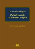 Il diritto civile tra principi e regole. Autonomia negoziale
