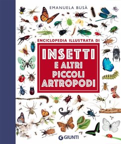 Cover Insetti e altri piccoli artropodi