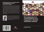 Développement et caractérisation d'un composite à matrice métallique hybride