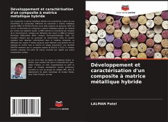 Cover Développement et caractérisation d'un composite à matrice métallique hybride