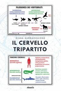 Il cervello tripartito Il cervello tripartito
