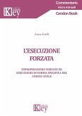 L' esecuzione forzata. Espropriazione forzata ed esecuzione in forma specifica nel codice civile L' esecuzione forzata. Espropriazione forzata ed esecuzione in forma specifica nel codice civile