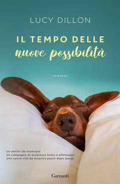 Il tempo delle nuove possibilità - Dillon, Lucy