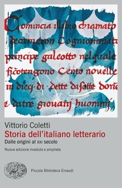 Cover Storia dell'italiano letterario. Dalle origini al XXI secolo