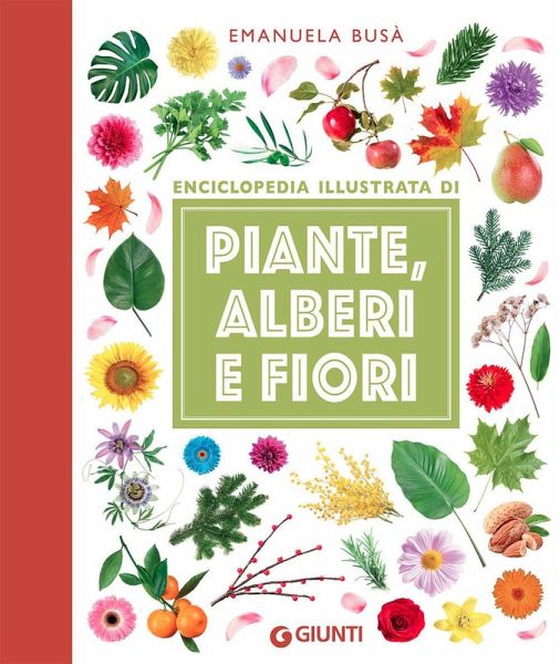 Enciclopedia illustrata di piante, alberi e fiori Enciclopedia illustrata di piante, alberi e fiori