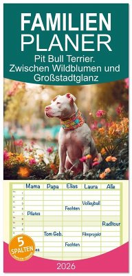 Familienplaner 2026 - Pit Bull Terrier. Zwischen Wildblumen und Großstadtglanz mit 5 Spalten (Wandkalender, 21 x 45 cm) CALVENDO