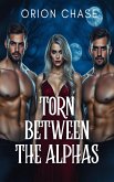 Torn Between The Alphas (eBook, ePUB)
