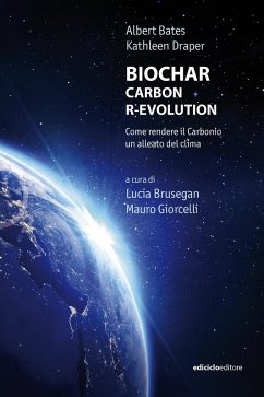 Cover BIOCHAR CARBON R-EVOLUTION (eBook, ePUB)