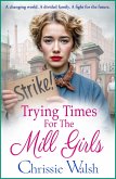 Trying Times for the Mill Girls (eBook, ePUB)