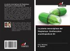 La pianta meravigliosa del Meghalaya: Zanthoxylum acanthopodium DC