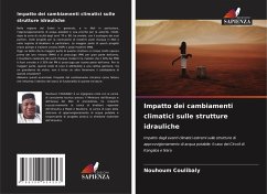Cover Impatto dei cambiamenti climatici sulle strutture idrauliche