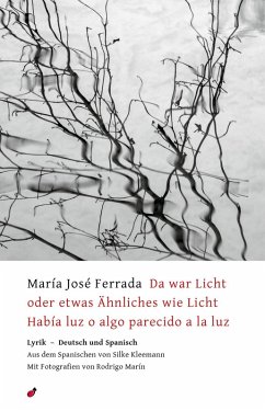Cover Da war Licht oder etwas Ähnliches wie Licht / Había luz o algo parecido a la luz
