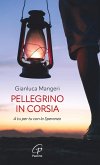 Pellegrino in corsia. A tu per tu con la speranza Pellegrino in corsia. A tu per tu con la speranza