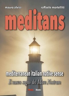 Cover Meditans. Il nuovo sogno del Mare Nostrum