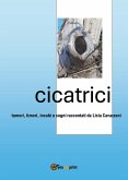Cicatrici
