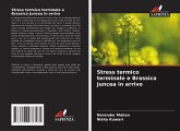 Stress termico terminale e Brassica Juncea in arrivo