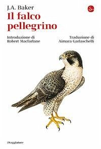 Cover Il falco pellegrino