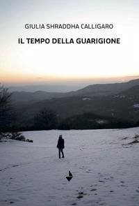 Cover Il tempo della guarigione